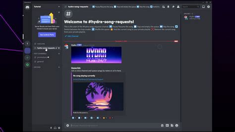 hydra discord